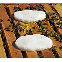 Sugar and grease patty treatments for tracheal mites in a bee hive Sugar and grease patty treatments for tracheal mites in a bee hive