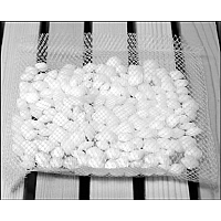 Treating tracheal mites with menthol crystals Treating tracheal mites with menthol crystals