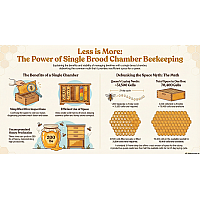 Efficiency and Management of Single Brood Chamber Beekeeping Efficiency and Management of Single Brood Chamber Beekeeping