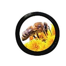 Bee On Yellow Flower Lids (70mm)