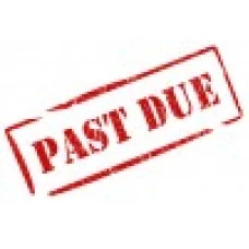 Late Fee (Penalty) Late Fee (Penalty)