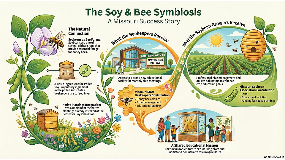 Missouri Soy and Bee Symbiosis Missouri Soy and Bee Symbiosis
