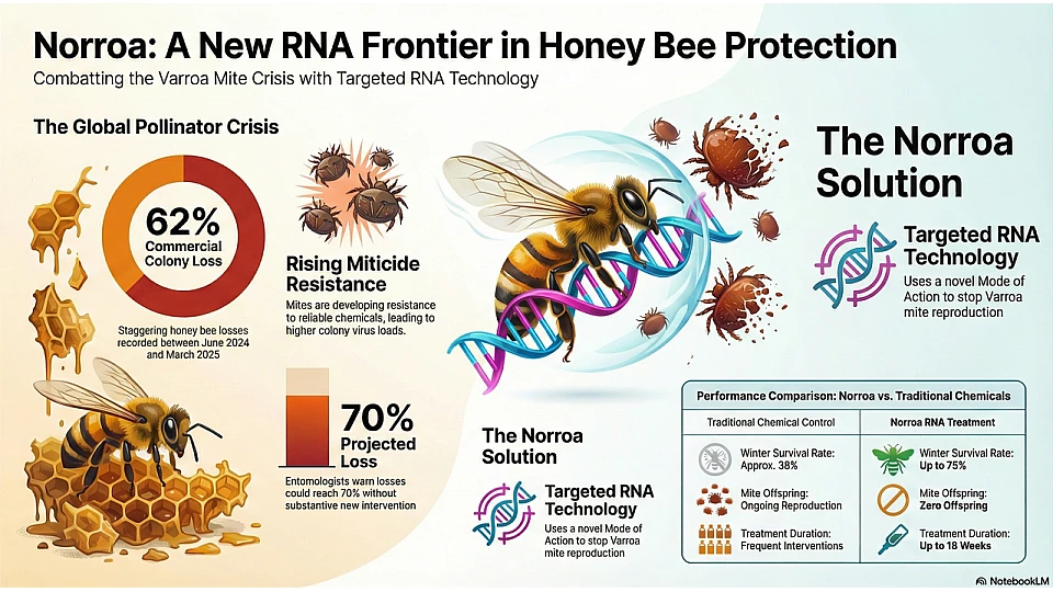 Norroa Honey Bee Protection