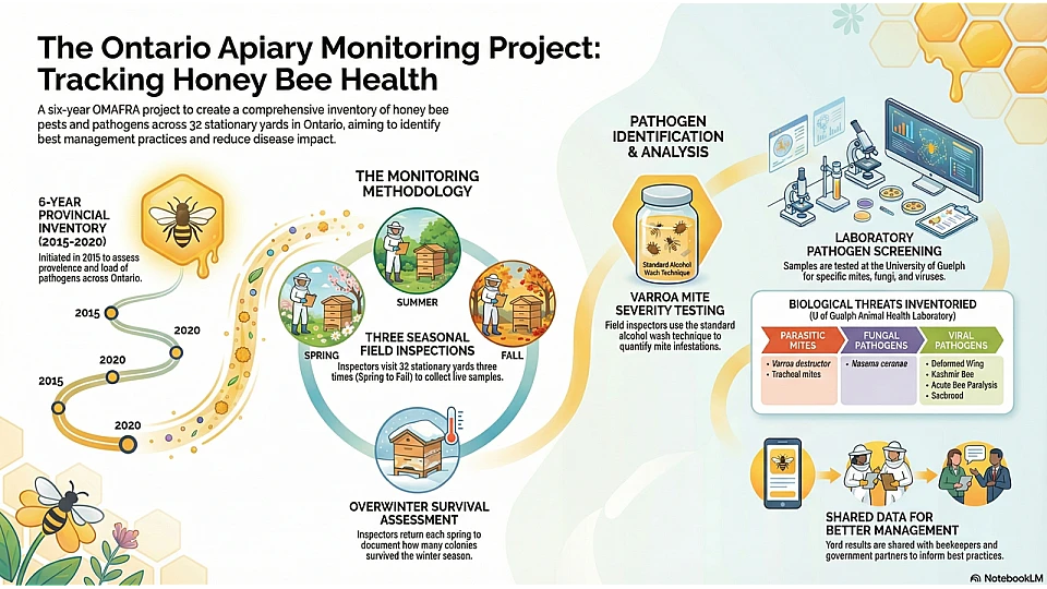 Tracking Honey Bee Health Project