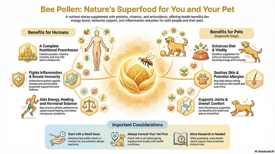 Bee Pollen Benefits for Humans and Pets Bee Pollen Benefits for Humans and Pets