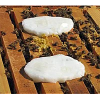 Sugar and grease patty treatments for tracheal mites in a bee hive Sugar and grease patty treatments for tracheal mites in a bee hive